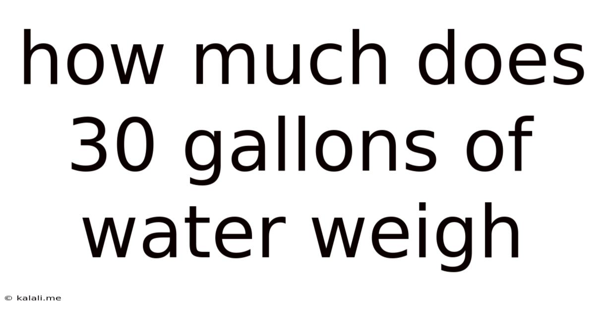 How Much Does 30 Gallons Of Water Weigh