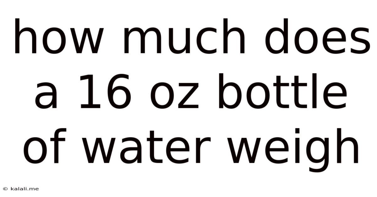 How Much Does A 16 Oz Bottle Of Water Weigh