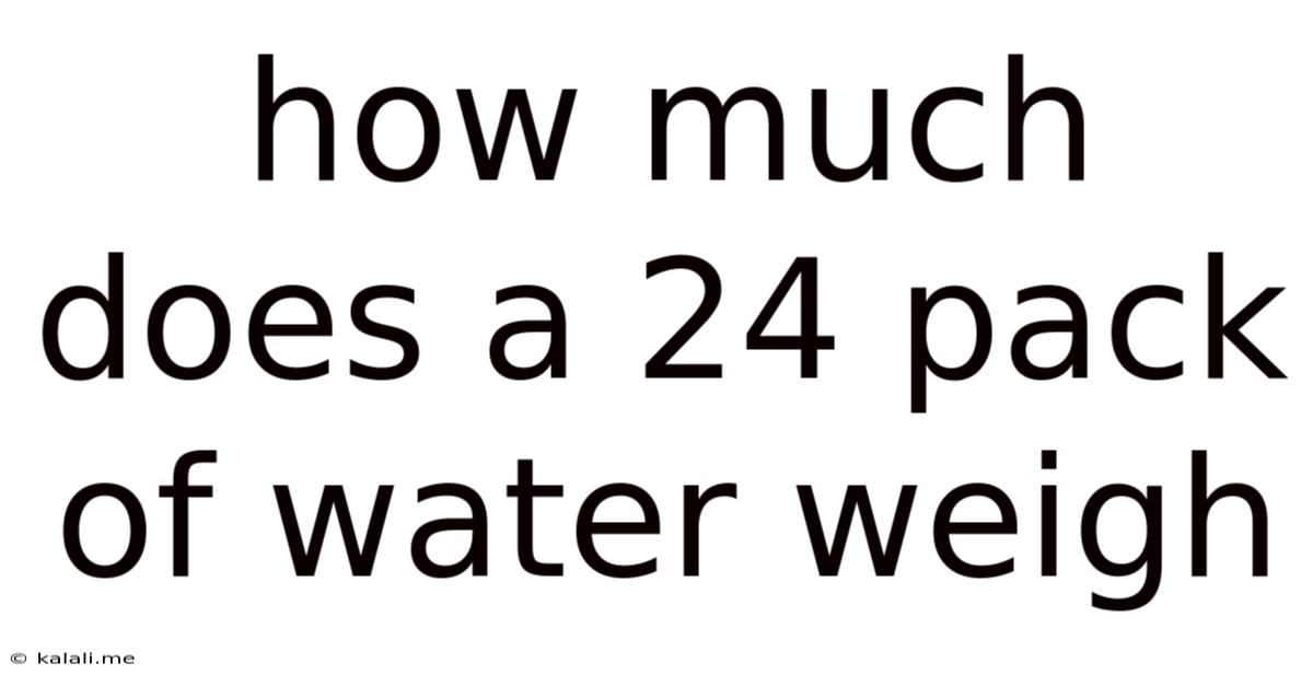 How Much Does A 24 Pack Of Water Weigh