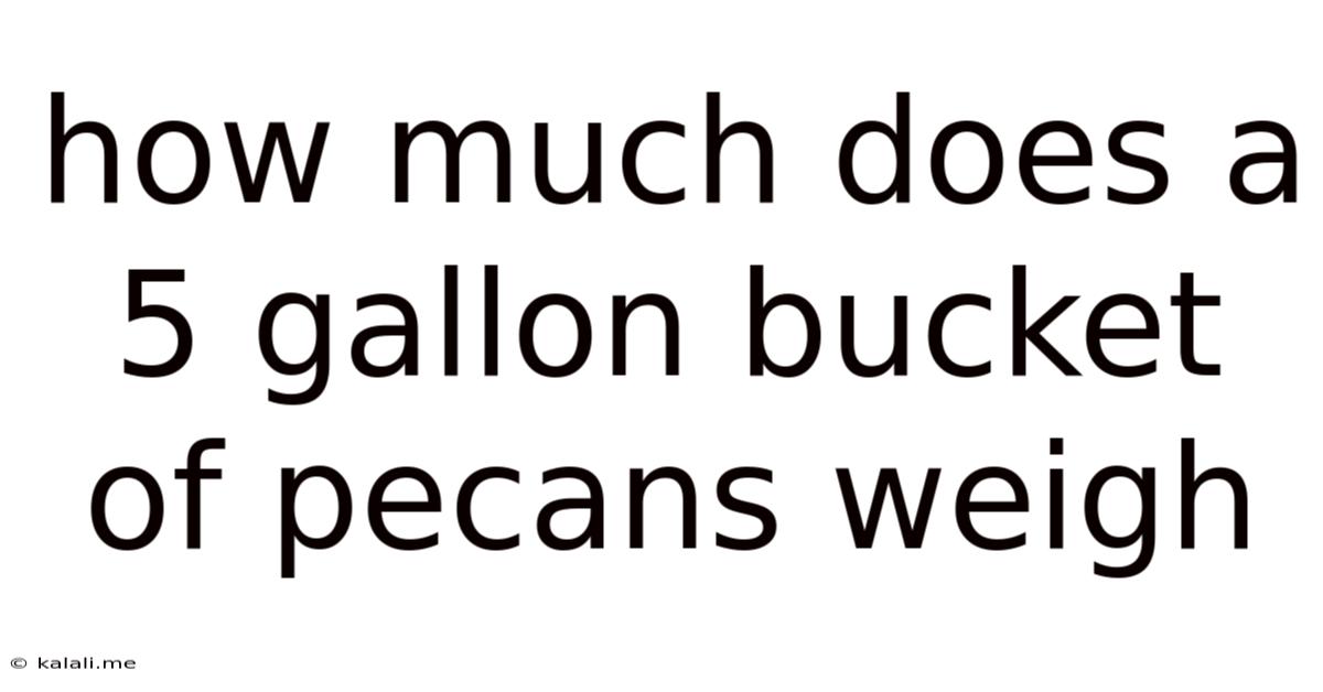 How Much Does A 5 Gallon Bucket Of Pecans Weigh