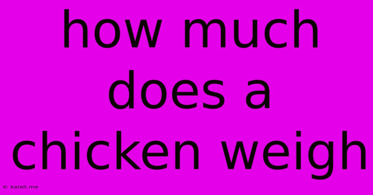 How Much Does A Chicken Weigh
