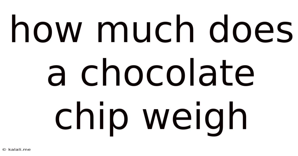 How Much Does A Chocolate Chip Weigh