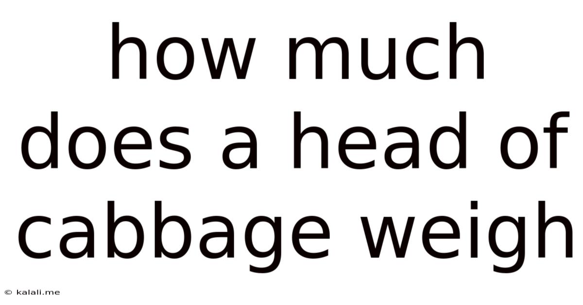 How Much Does A Head Of Cabbage Weigh