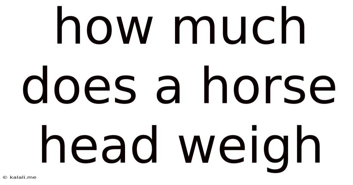 How Much Does A Horse Head Weigh