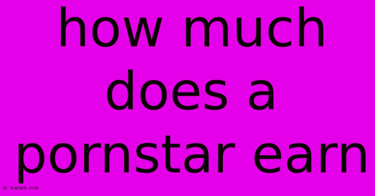 How Much Does A Pornstar Earn