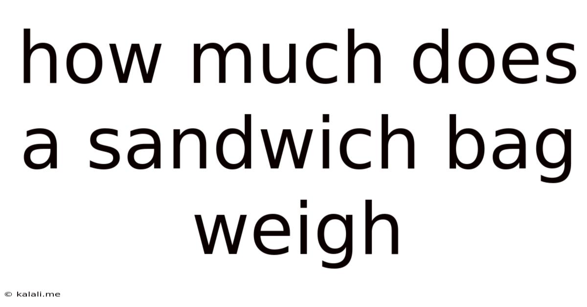 How Much Does A Sandwich Bag Weigh