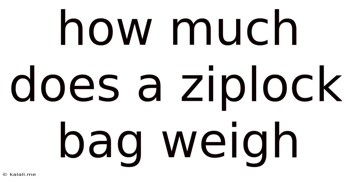 How Much Does A Ziplock Bag Weigh