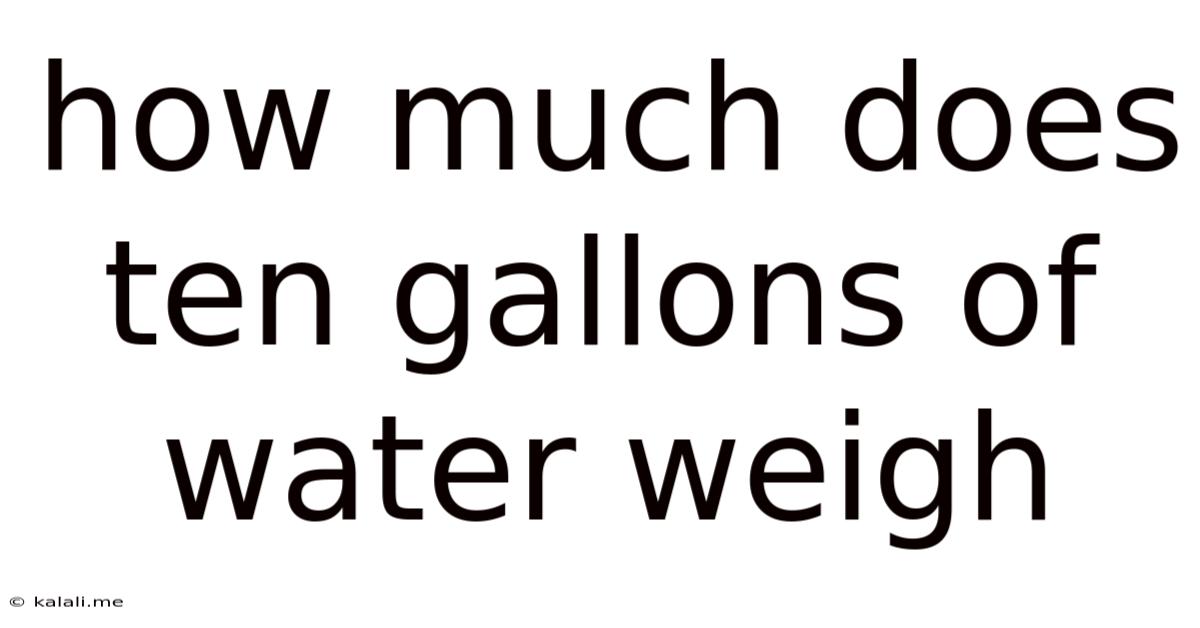 How Much Does Ten Gallons Of Water Weigh