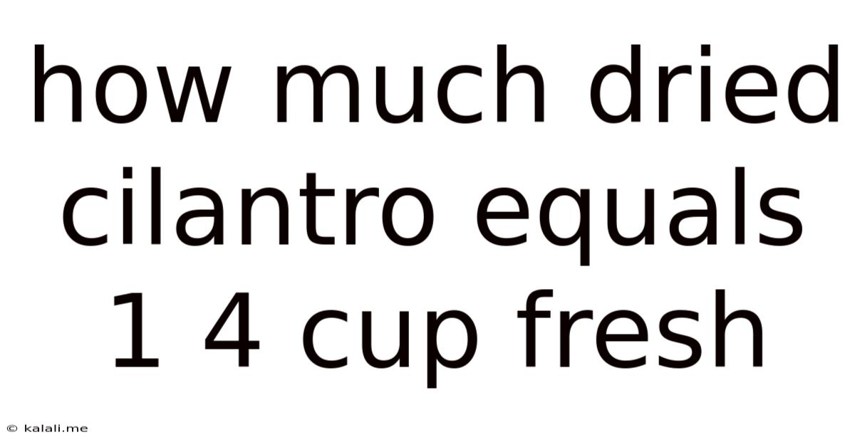 How Much Dried Cilantro Equals 1 4 Cup Fresh