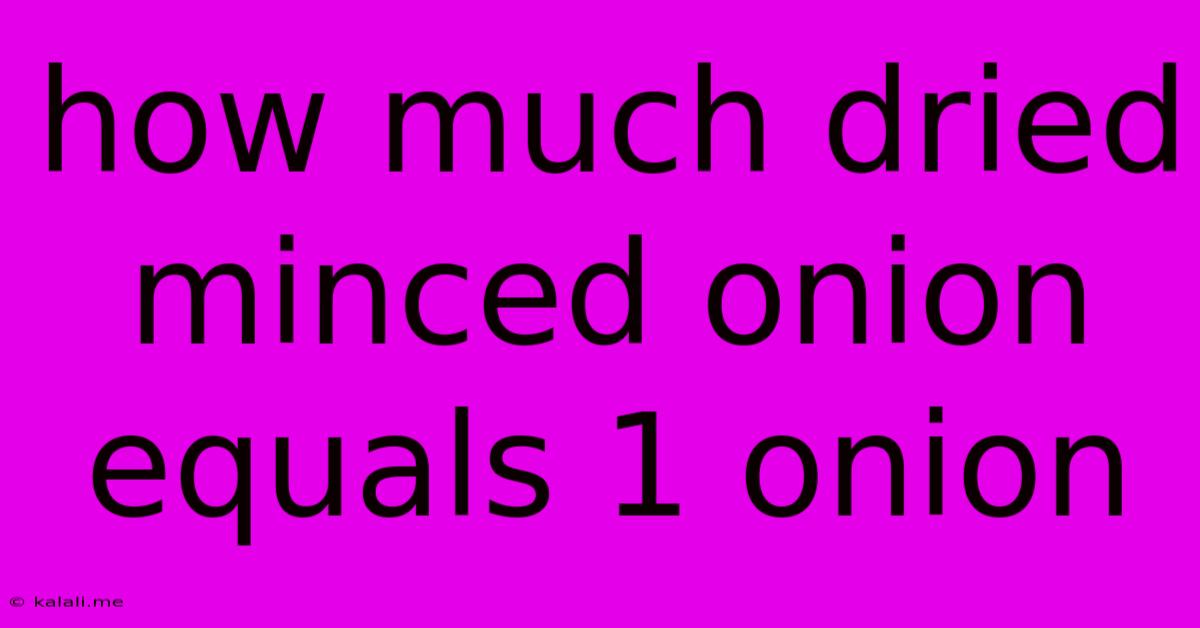 How Much Dried Minced Onion Equals 1 Onion