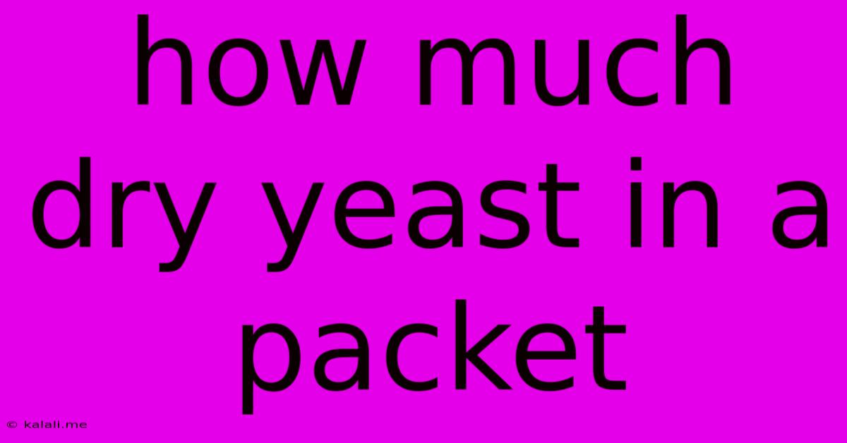 How Much Dry Yeast In A Packet