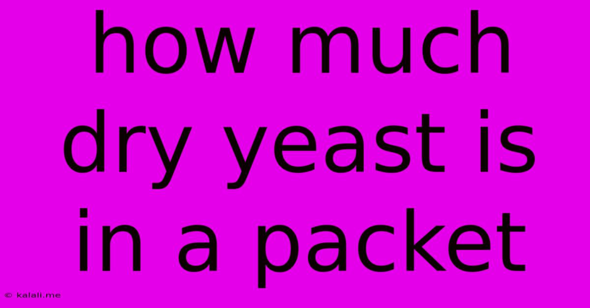How Much Dry Yeast Is In A Packet