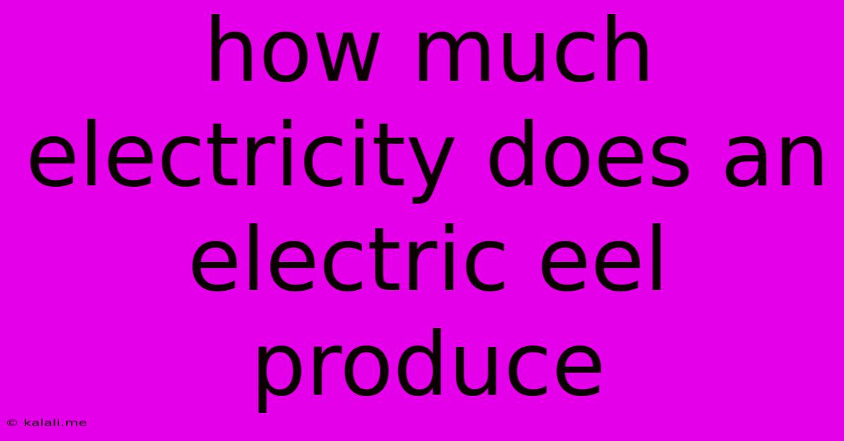 How Much Electricity Does An Electric Eel Produce