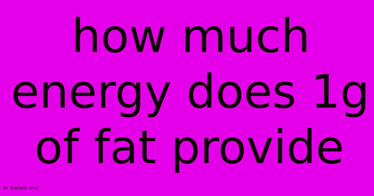 How Much Energy Does 1g Of Fat Provide