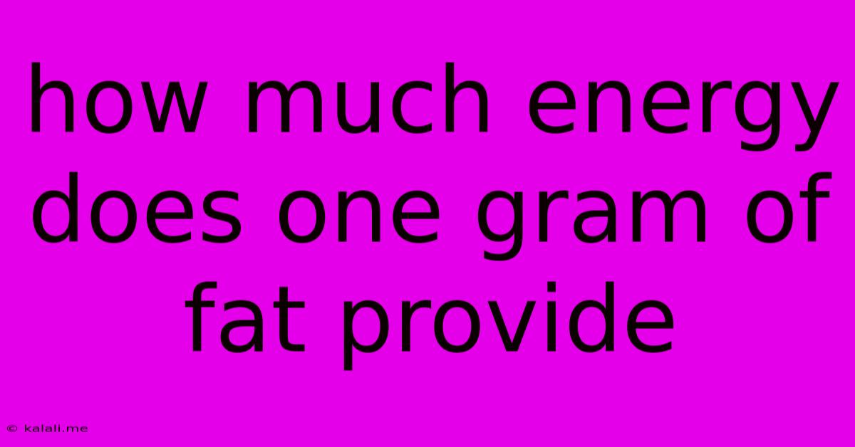 How Much Energy Does One Gram Of Fat Provide