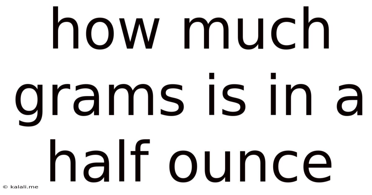 How Much Grams Is In A Half Ounce