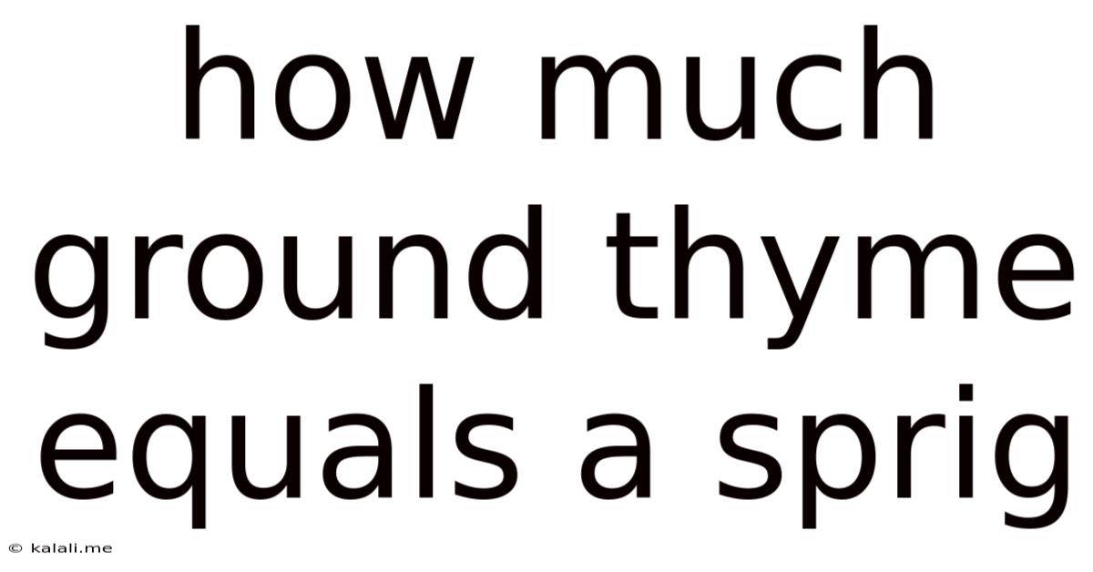How Much Ground Thyme Equals A Sprig