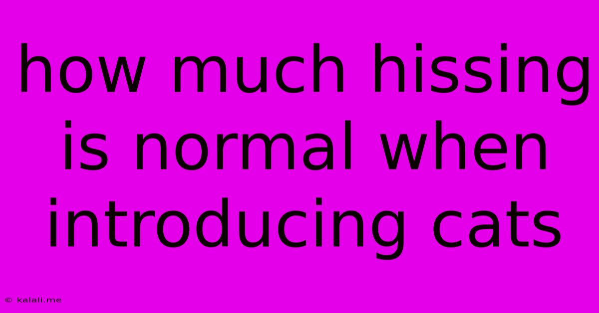 How Much Hissing Is Normal When Introducing Cats