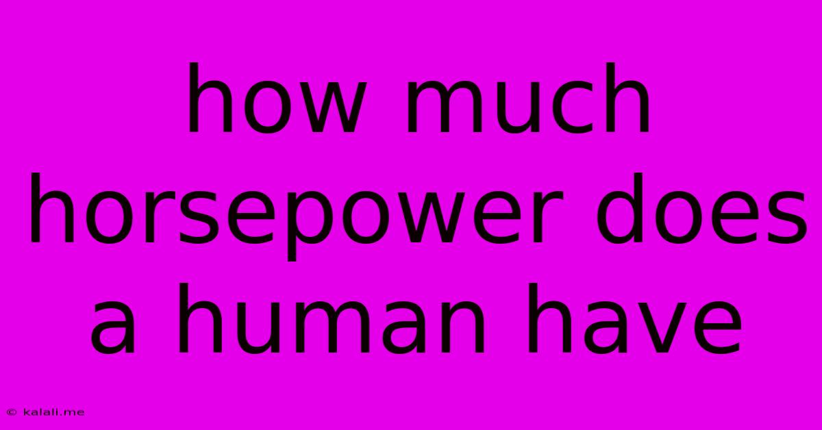 How Much Horsepower Does A Human Have