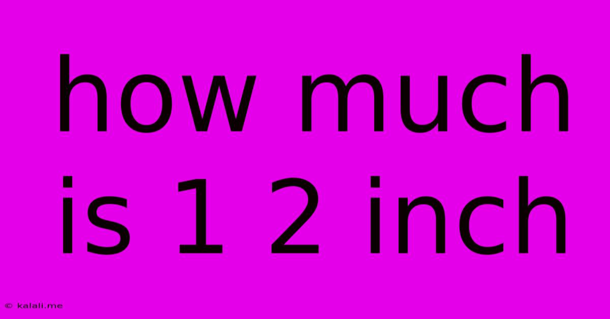 How Much Is 1 2 Inch
