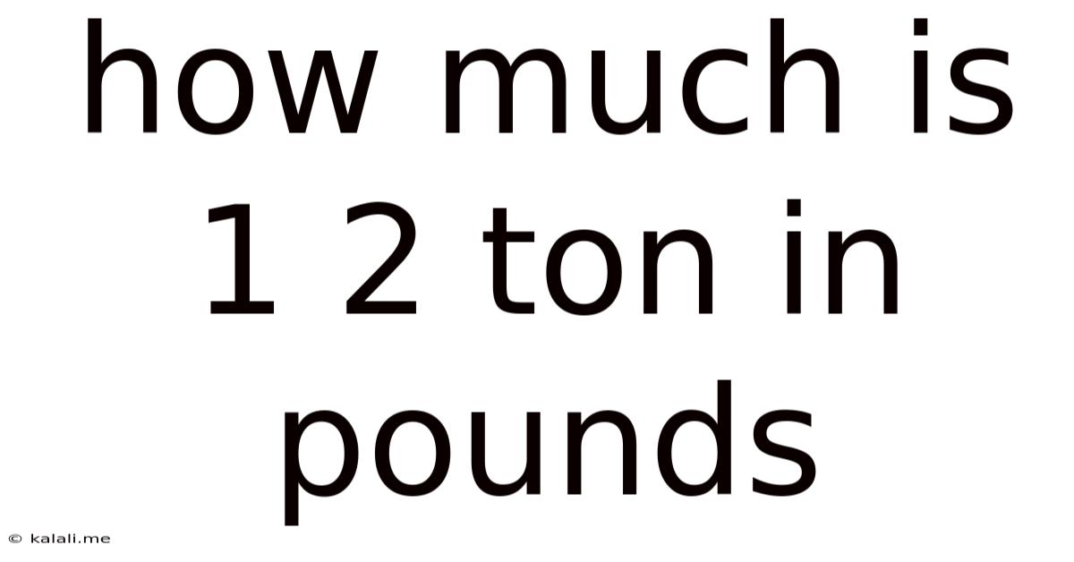 How Much Is 1 2 Ton In Pounds
