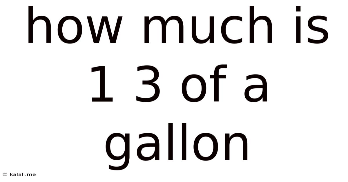 How Much Is 1 3 Of A Gallon