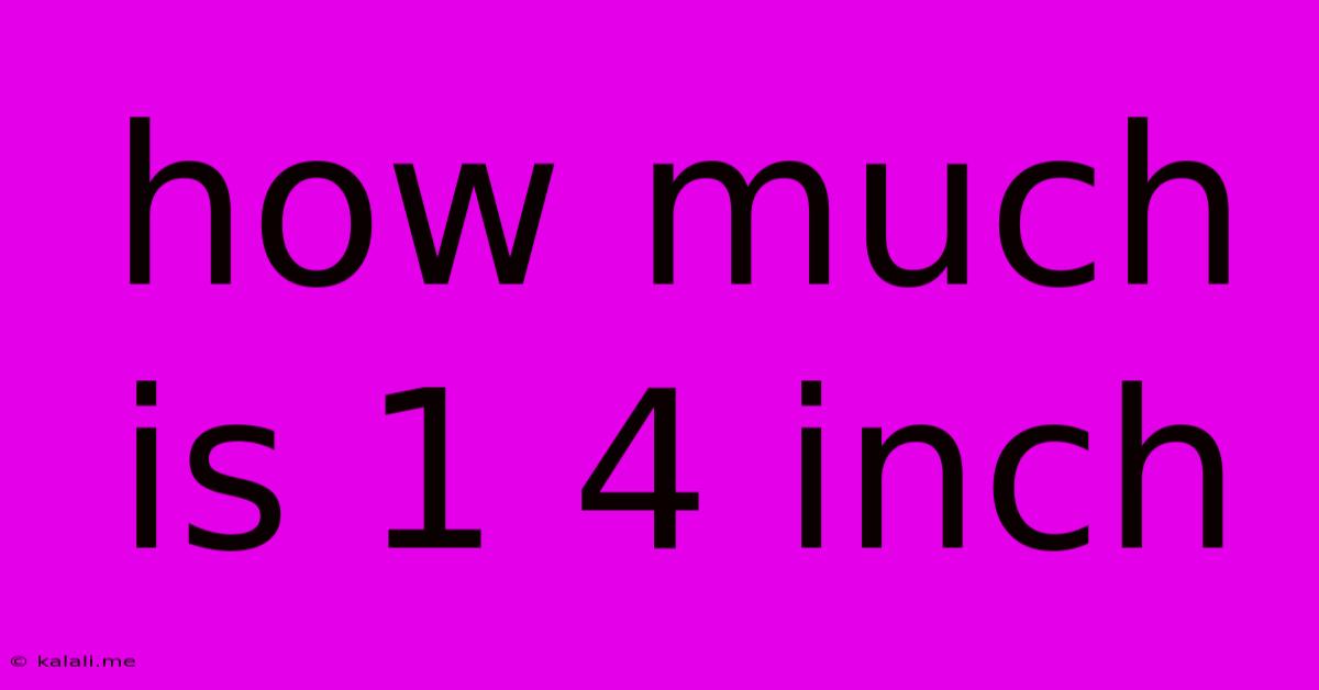 How Much Is 1 4 Inch