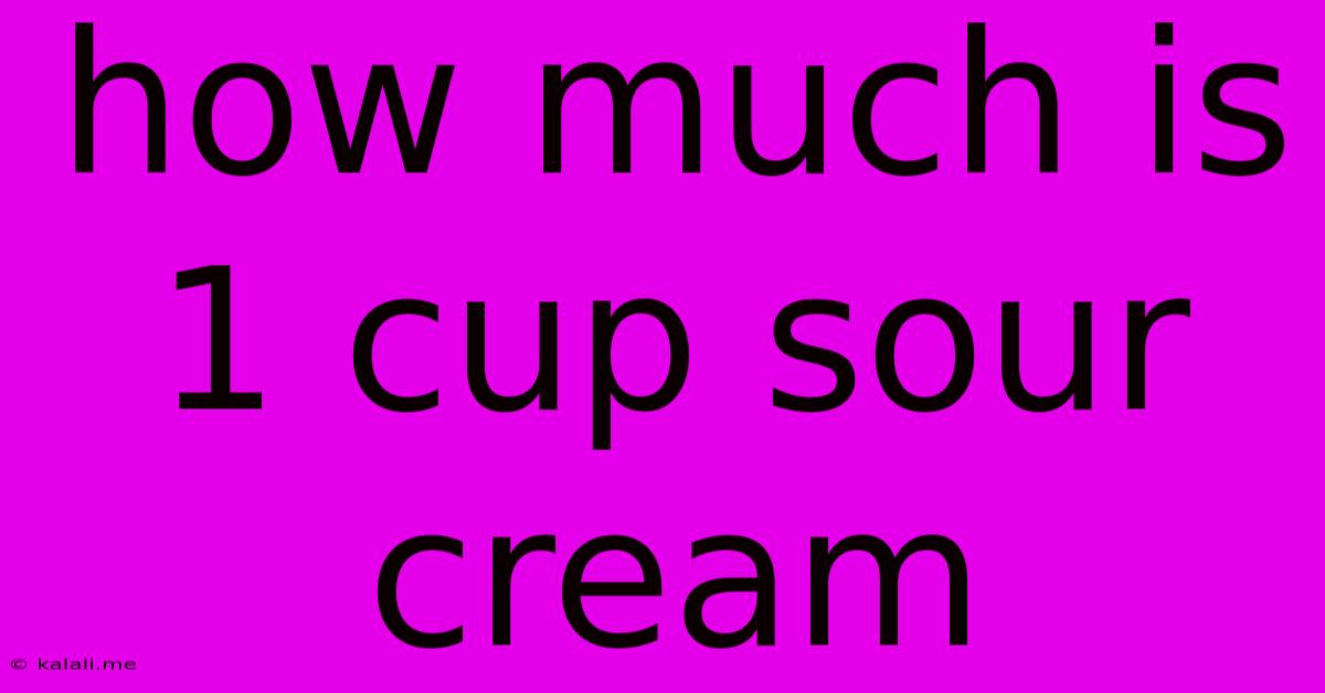 How Much Is 1 Cup Sour Cream