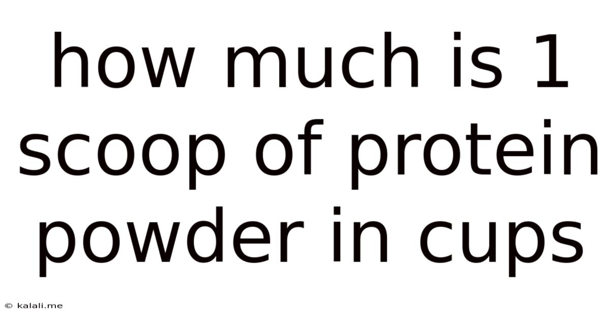 How Much Is 1 Scoop Of Protein Powder In Cups