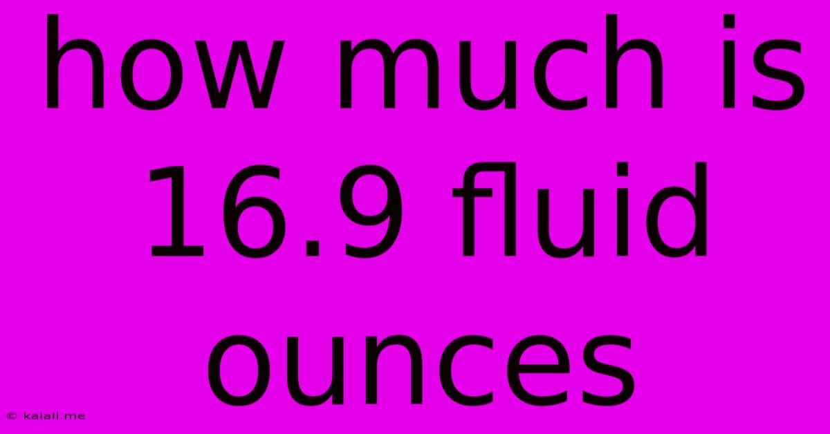 How Much Is 16.9 Fluid Ounces