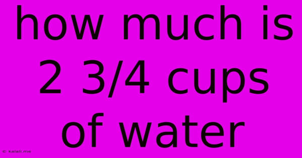 How Much Is 2 3/4 Cups Of Water
