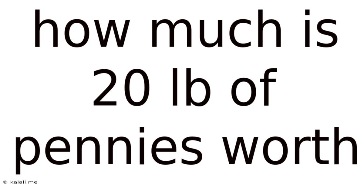 How Much Is 20 Lb Of Pennies Worth