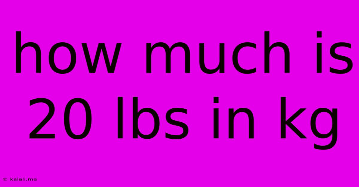 How Much Is 20 Lbs In Kg