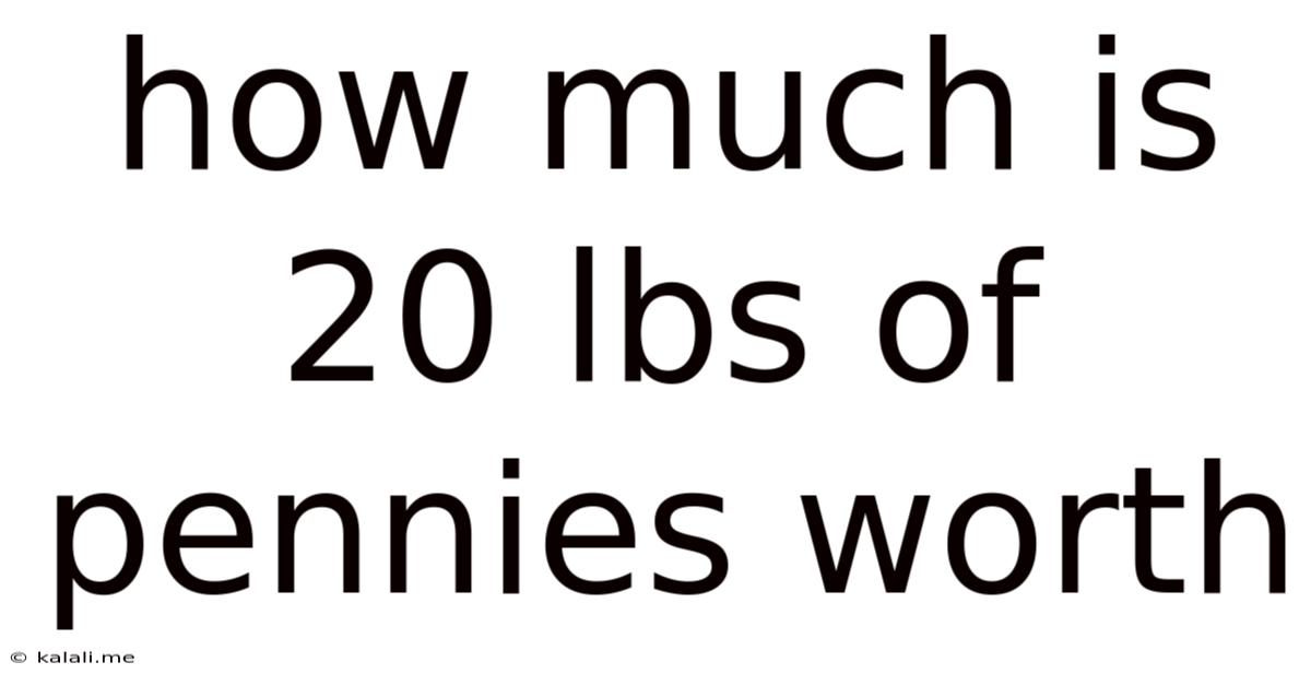 How Much Is 20 Lbs Of Pennies Worth