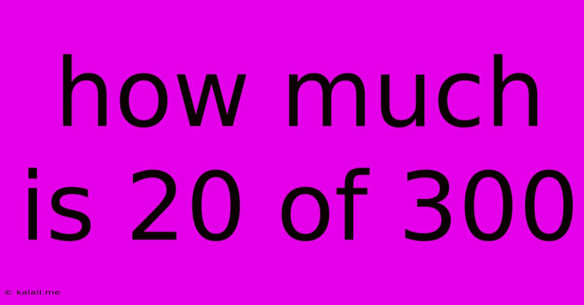 How Much Is 20 Of 300