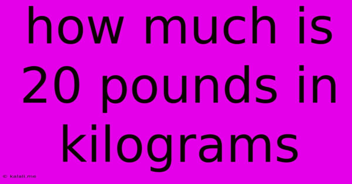 How Much Is 20 Pounds In Kilograms