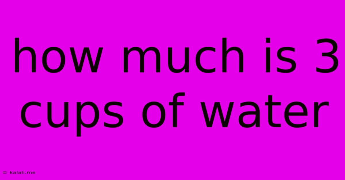 How Much Is 3 Cups Of Water