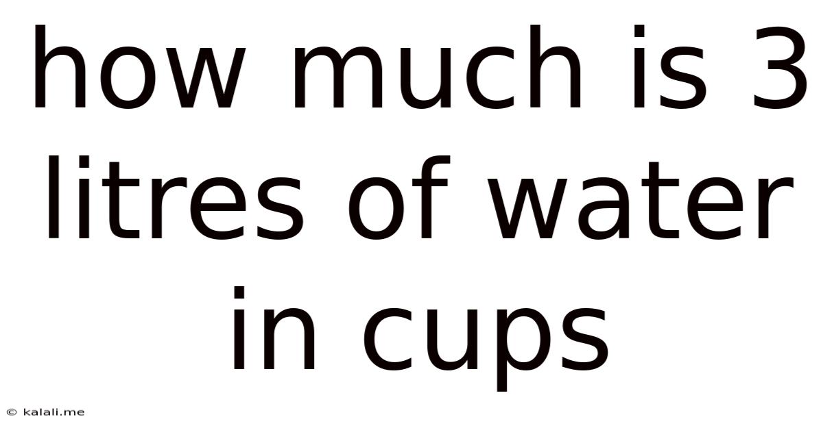 How Much Is 3 Litres Of Water In Cups
