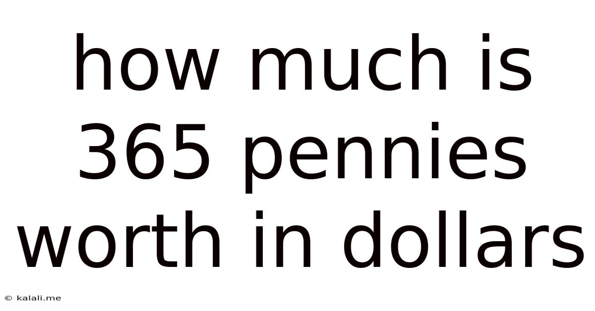 How Much Is 365 Pennies Worth In Dollars