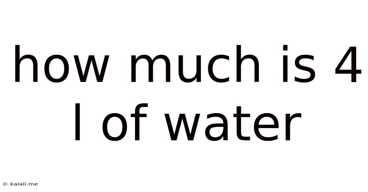 How Much Is 4 L Of Water