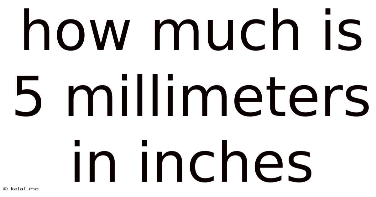 How Much Is 5 Millimeters In Inches