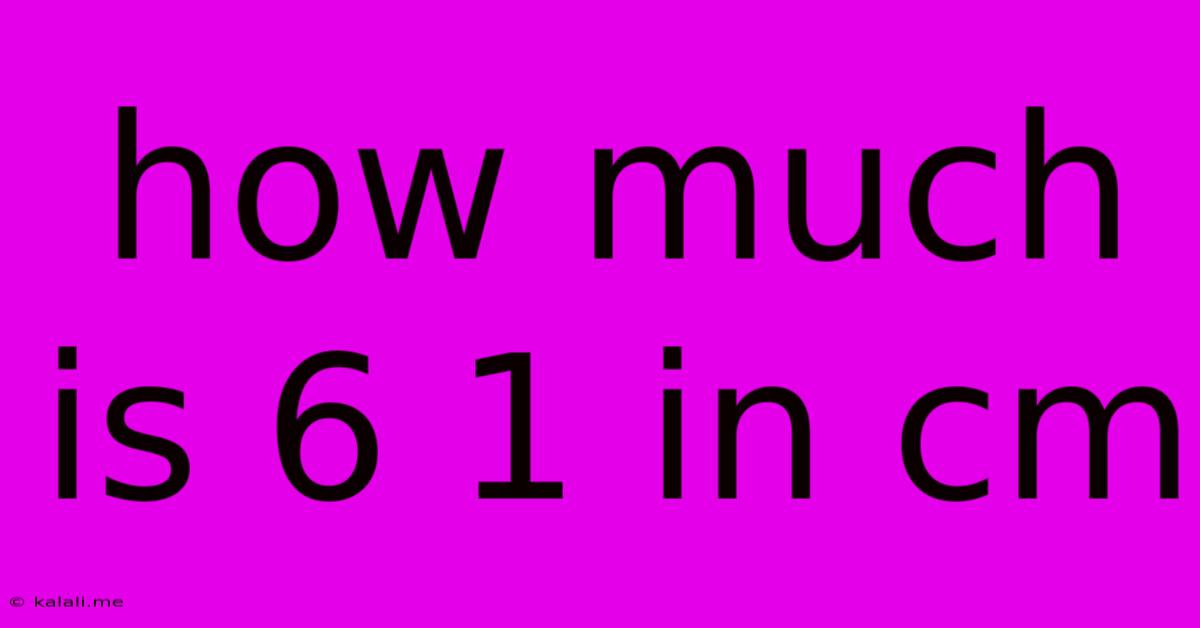 How Much Is 6 1 In Cm