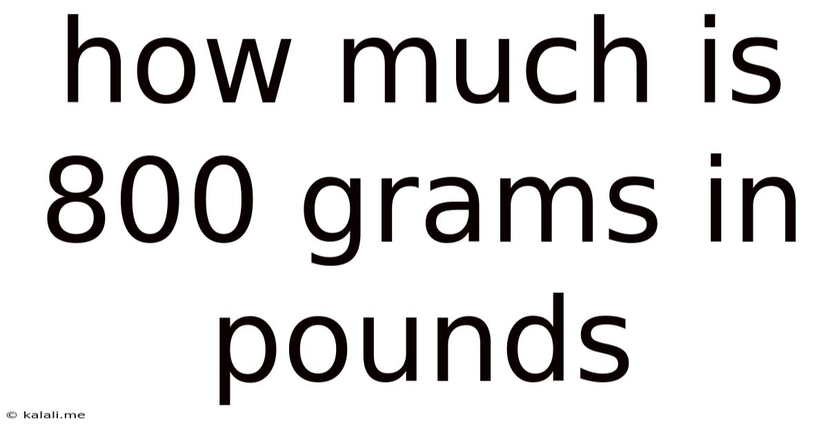 How Much Is 800 Grams In Pounds