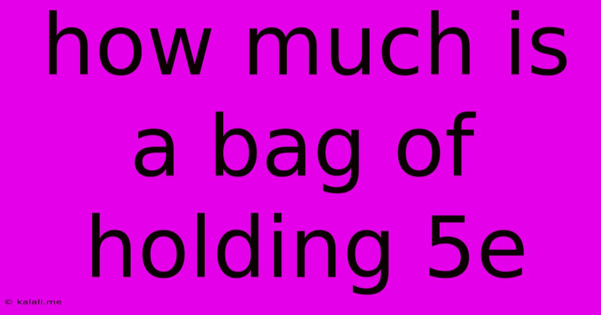 How Much Is A Bag Of Holding 5e