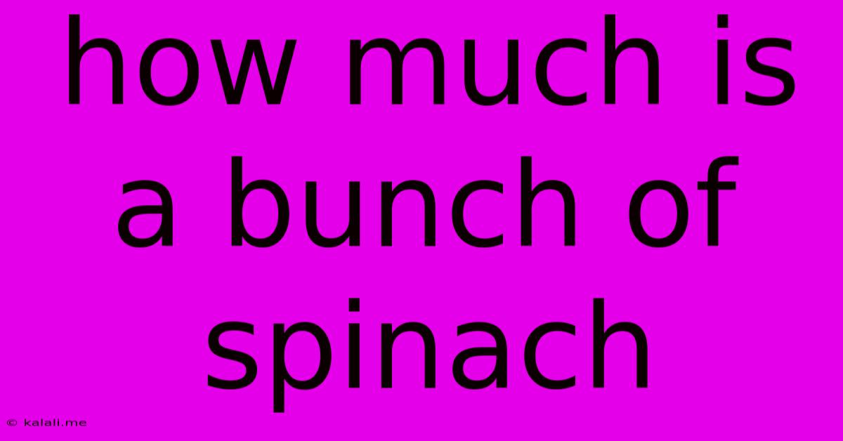 How Much Is A Bunch Of Spinach