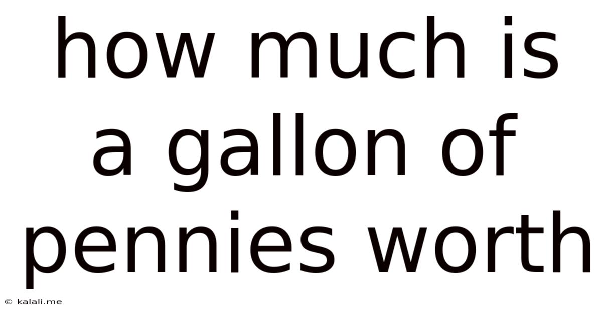 How Much Is A Gallon Of Pennies Worth