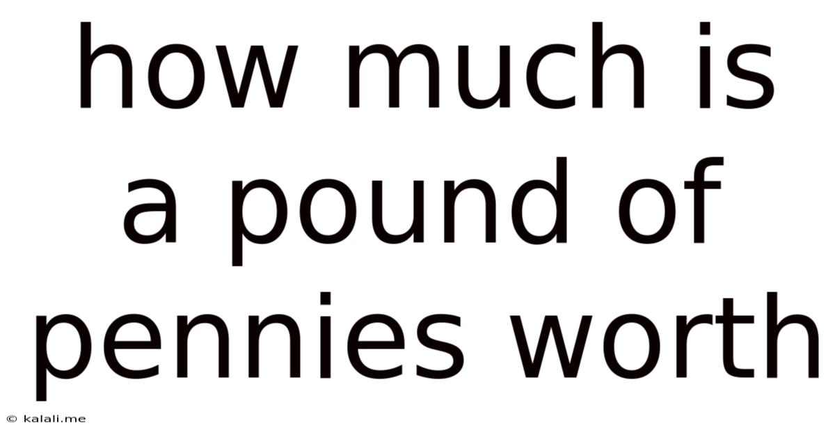 How Much Is A Pound Of Pennies Worth