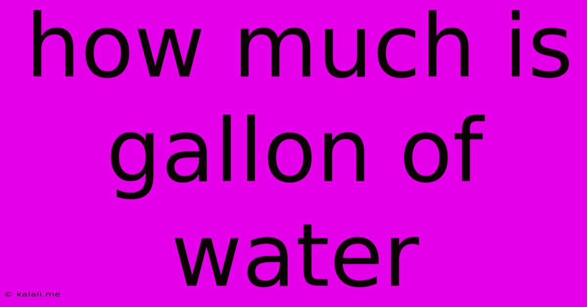 How Much Is Gallon Of Water