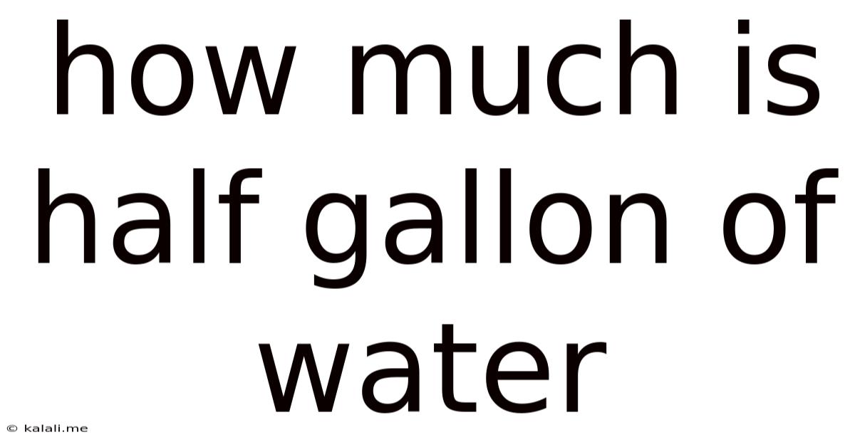 How Much Is Half Gallon Of Water