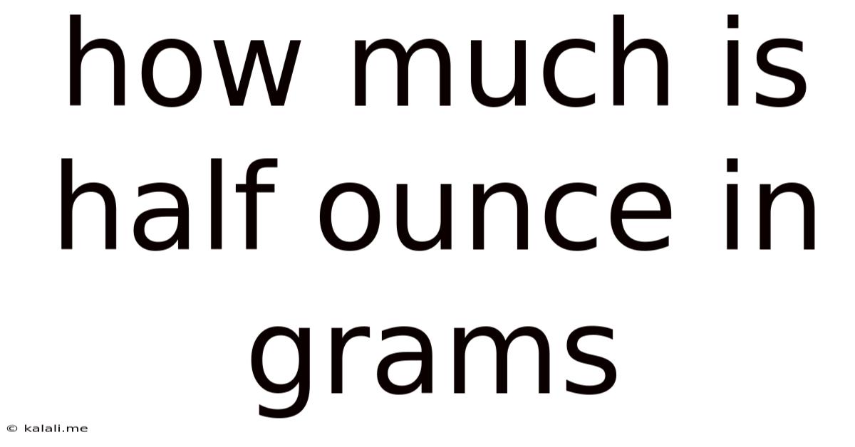 How Much Is Half Ounce In Grams